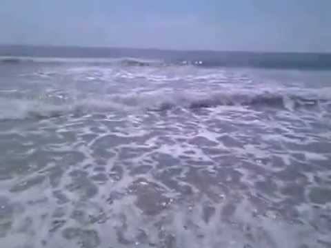 A shark came to close for comfort. Cocoa Beach, FL