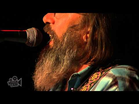 Steve Earle - Gulf Of Mexico  (Live in Sydney) | Moshcam