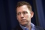 PayPal co-founder and venture capitalist Peter Thiel recently mentioned he was hunting for investments outside of ...