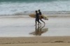 Bondi on a gloomy Friday - but conditions are set to brighten and warm up.