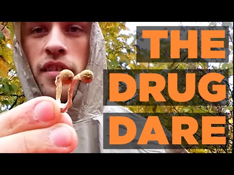 3g Psychedelic Mushrooms & Cannabis Hike | The Drug Dare