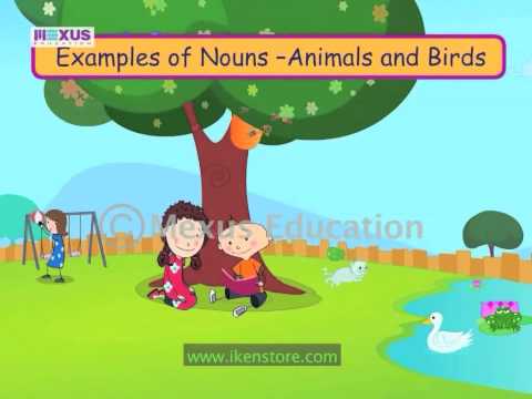 Introduction to Nouns