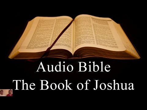 The Book of Joshua - NIV Audio Holy Bible - High Quality and Best Speed - Book 6