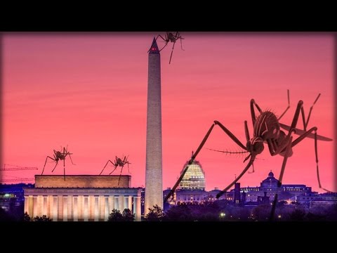 WASHINGTON DC FULL OF ZIKA MOSQUITOS