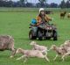 Farmer Ian Feldtmann on a quad bike at his property.