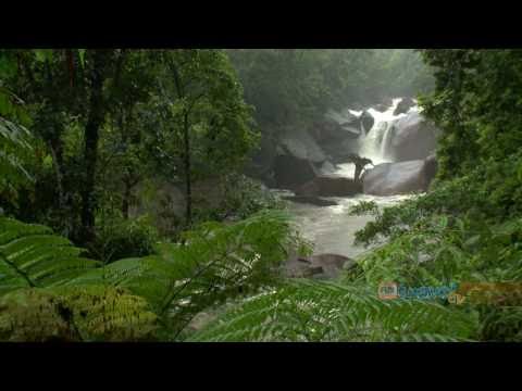 Holiday Travel Video Guide for Cairns, Queensland Australia