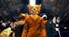 Fantastic Mr. Fox (2009) photo