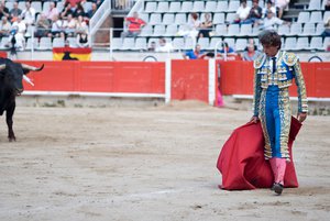 Spanish Bullfighter