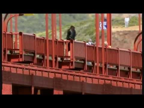 Golden Gate Bridge Jumpers Video (18+)