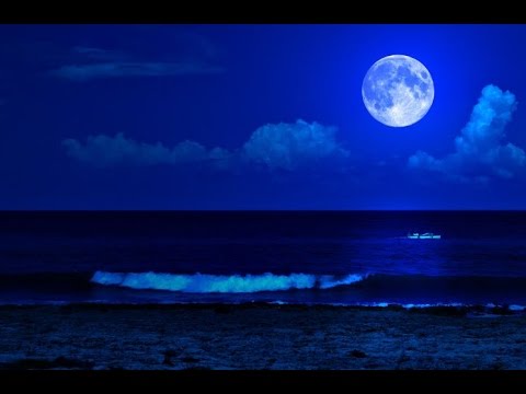 8 Hour Relaxing Sleep Music, Calm Music, Soft Music, Relaxing, Instrumental Music, Sleep ☯2781