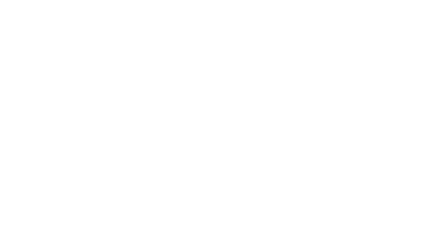 VIZ