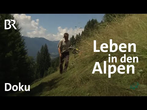 Die Alpen: Leben im Extremen - Faszination Wissen - ganze Sendung vom 27.4.2015