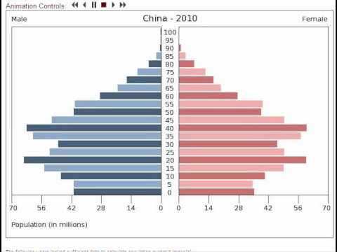 China's population pyramid