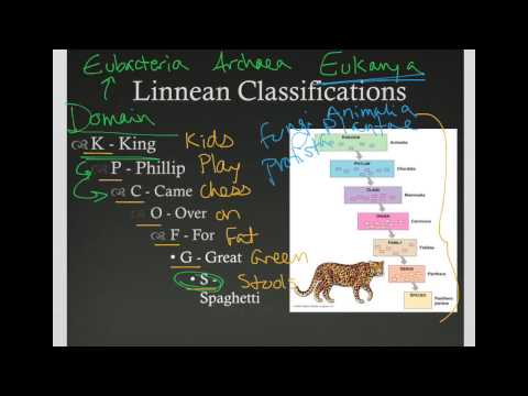 Linnaean Classification