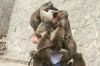 Man mobbed by monkeys turned into a funny internet memes