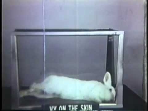 WARNING VERY GRAPHIC US Army Nerve Agent Weapons Experiments on Rabbits