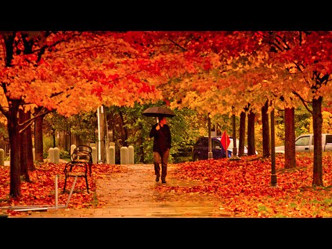 Four Seasons Vivaldi - 10 Hours - Relaxing Classical Music For Studying, Concentration And Sleeping