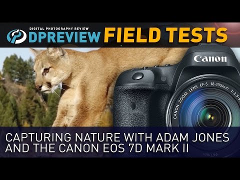 Canon EOS 7D Mark II Field Test: Capturing nature with Adam Jones