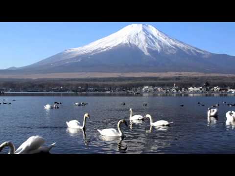 Travel Japan - Visiting Mount Fuji (Tokyo)