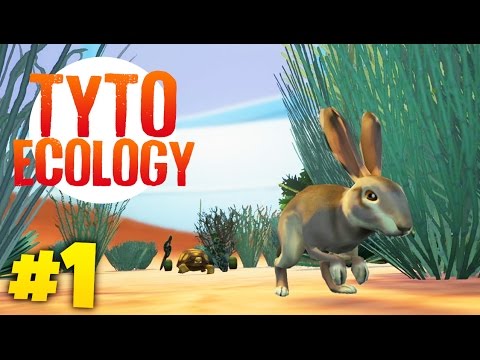 BUILDING OUR OWN ECOSYSTEM | Tyto Ecology (Week 1)