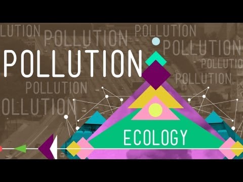 Pollution: Crash Course Ecology #11