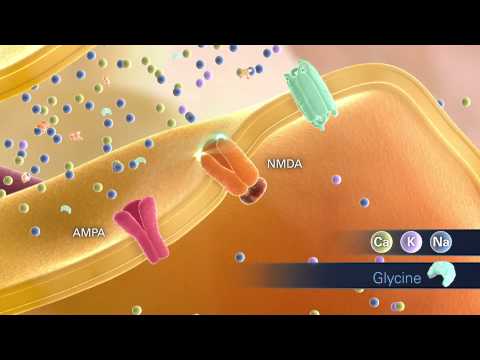 Glutamate Animation Scene02 NMDA Activation 072312