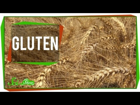 Gluten