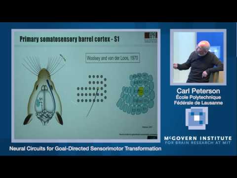 2016 McGovern Symposium: Carl Petersen