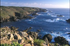 King Island