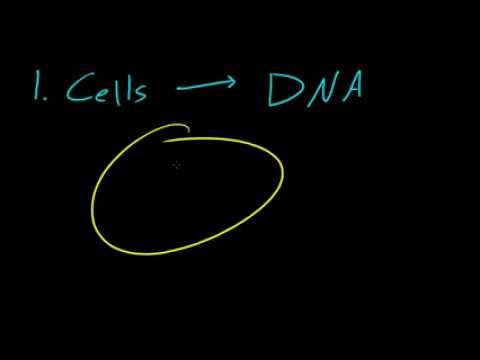 Biology Lecture - 1 - Introduction to Biology