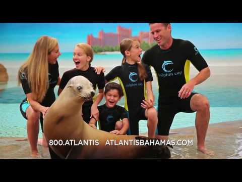 Choose Your Own Offer | Atlantis Bahamas