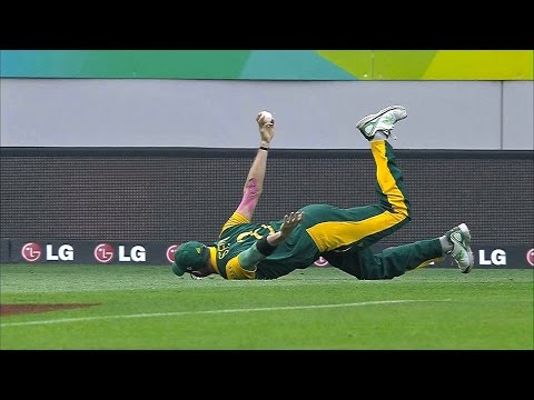 Best Catches in Cricket History! Best Acrobatic Catches! (Please comment the best catch)