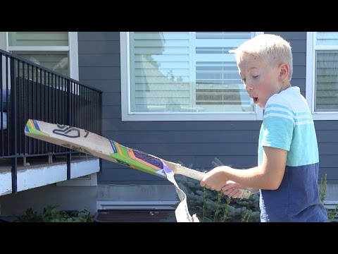 What's inside a Cricket Bat?