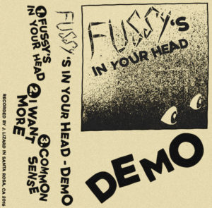 fussy demo artwork