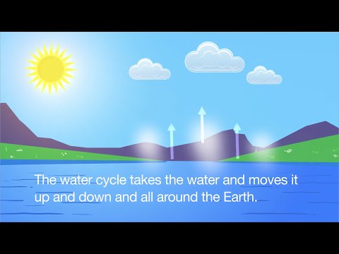 Water Cycle Song Video