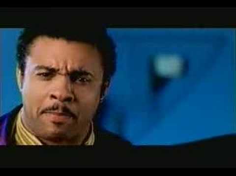 SHAGGY - IT WASNT ME