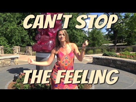 Can't Stop the Feeling! - Justin Timberlake, by the City of Greenville, SC