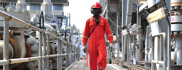 Engineer working on shell plant