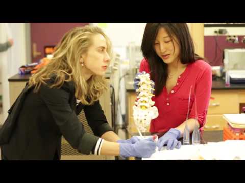 MIT – Department of Materials Science and Engineering