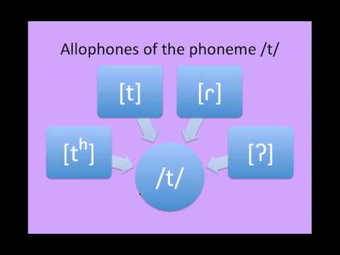 Phonology