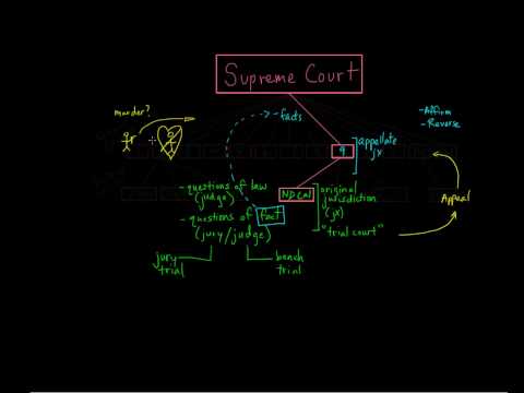 10. Circuit Court (Appellate Court)