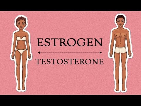 Estrogen Levels In Women | Her Body