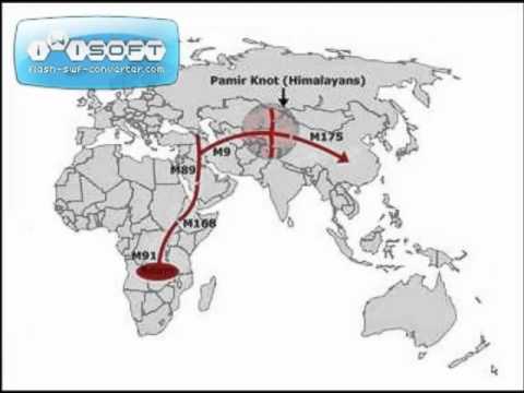 YDNA - haplogroup O Part I