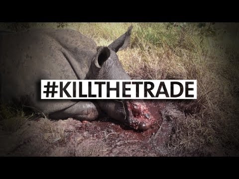 WARNING: The Real Face Of Rhino Poaching