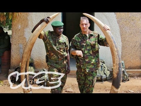 Elephant Poachers in Kenya