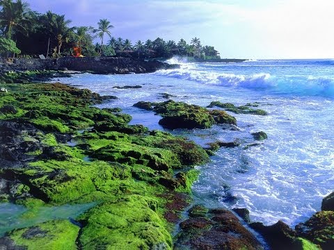 The Big Island Of Hawaii