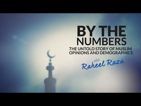 By The Numbers  - The Untold Story of Muslim Opinions & Demographics