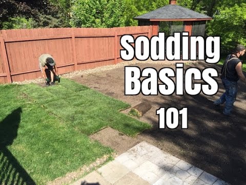 How NOT to lay Sod