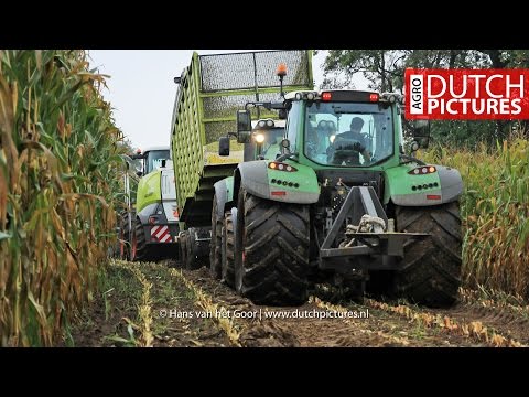 Modderen in de mais extreem 2015 | Harvesting maize in the mud extreme | BMWW | Claas Jaguar 940