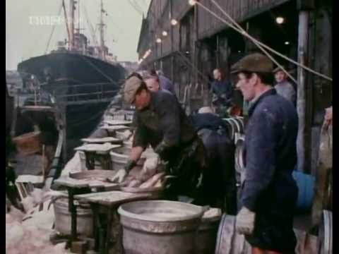 British Icelandic Cod Wars